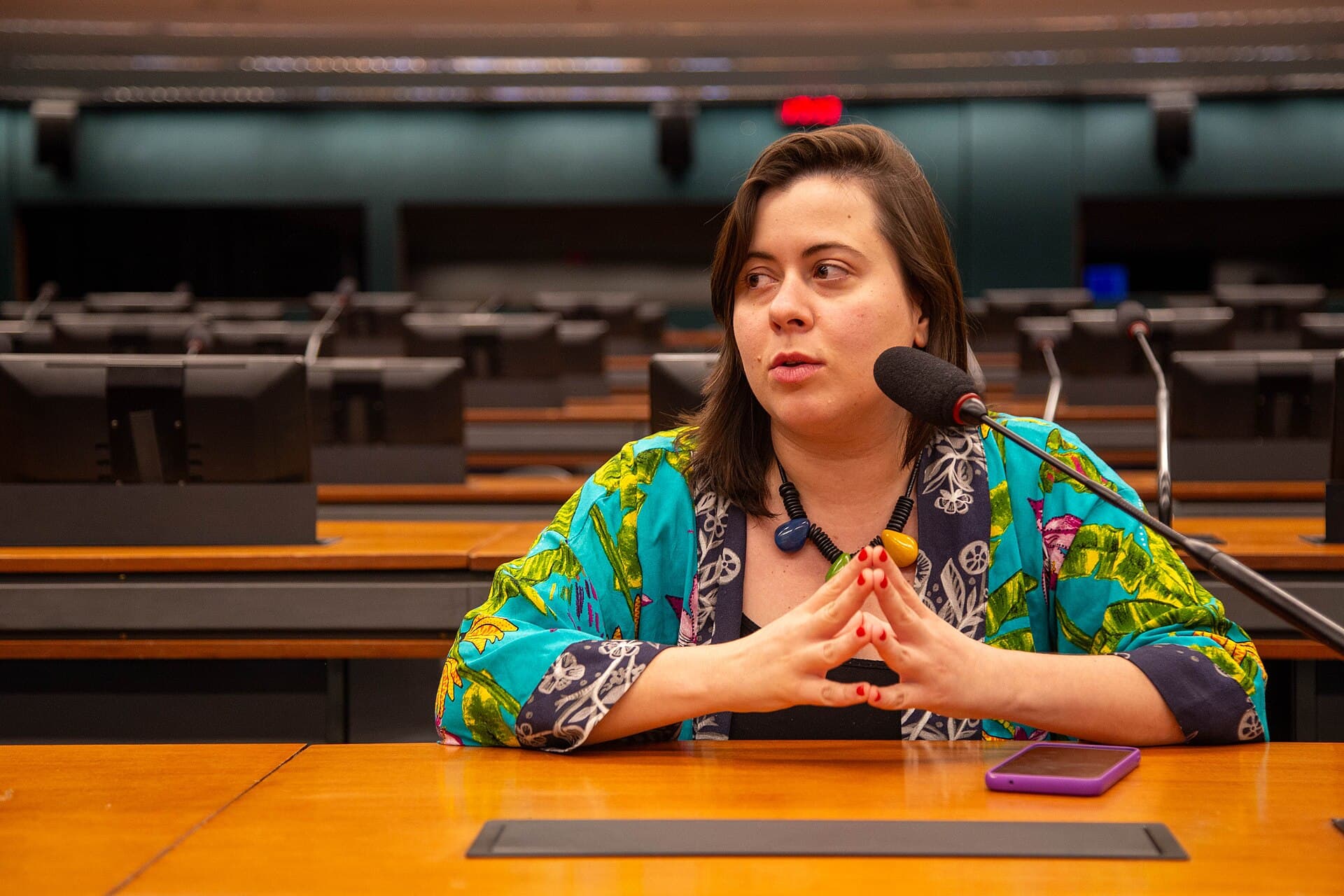 Sâmia Bomfim solicita investigação sobre abandono de cargo de Flávio Bolsonaro